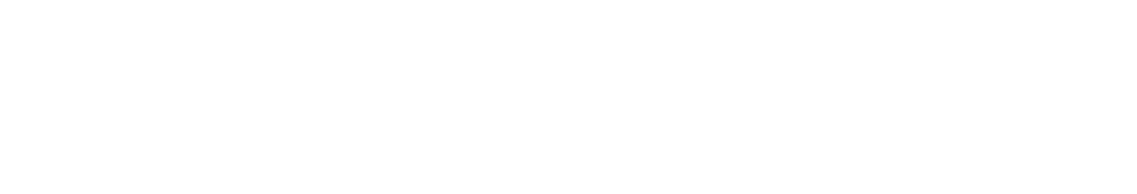 worldizetech